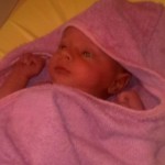 photo00761