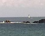 photo00881