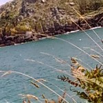 photo00901