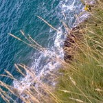 photo00921