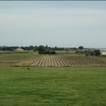 dsc_1453