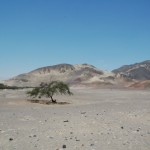 NASCA04