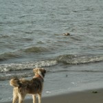 PARACAS01