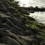 PARACAS03