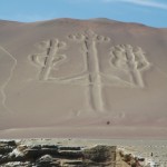 PARACAS05