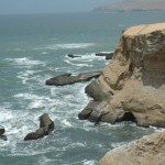 PARACAS14