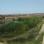 CHIMO09