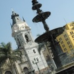 LIMA FIN31