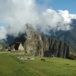 MACHU PICCHU15