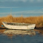 UROS14