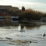 UROS16
