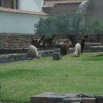 VALLEE SACREE30